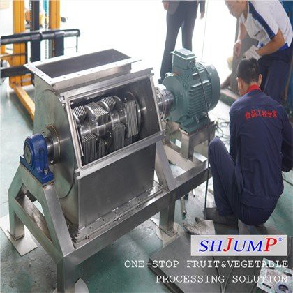 Triturador de Frutas